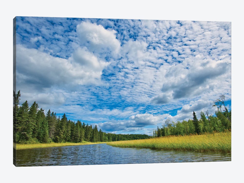 Canada, Manitoba, Whiteshell Provincial Park. River And Forest Landscape. by Jaynes Gallery 1-piece Canvas Artwork