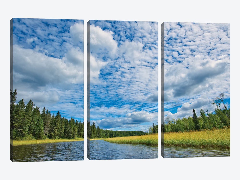 Canada, Manitoba, Whiteshell Provincial Park. River And Forest Landscape. by Jaynes Gallery 3-piece Canvas Wall Art