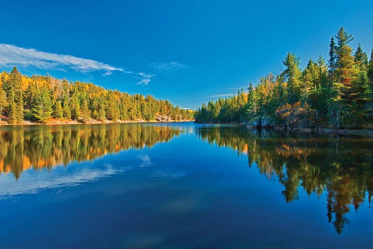 Canada, Ontario. Forest Reflections On Blindfold Lake In Autumn.