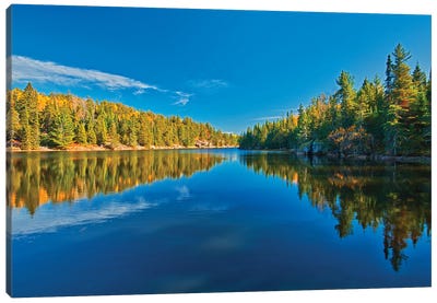 Canada, Ontario. Forest Reflections On Blindfold Lake In Autumn. Canvas Art Print - Ontario Art