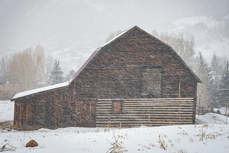 USA, Colorado, Steamboat Springs. Wooden Barn In Snowstorm.