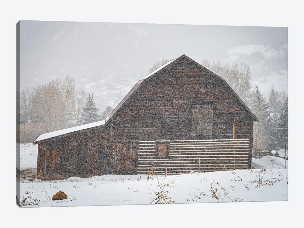 USA, Colorado, Steamboat Springs. Wooden Barn In Snowstorm. by Jaynes Gallery 1-piece Canvas Art Print