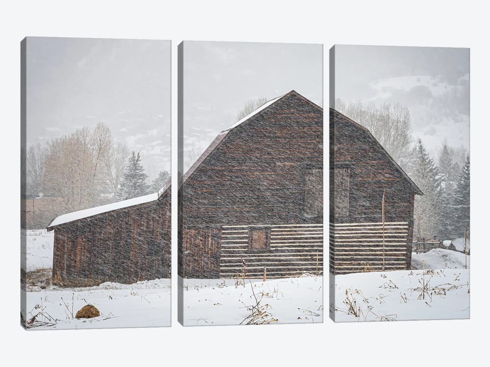 USA, Colorado, Steamboat Springs. Wooden Barn In Snowstorm. by Jaynes Gallery 3-piece Canvas Art Print