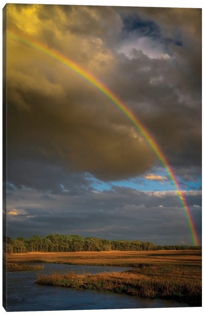 USA, New Jersey, Pinelands National Reserve. Rainbow Over Marsh. Canvas Art Print - Rainbow Art