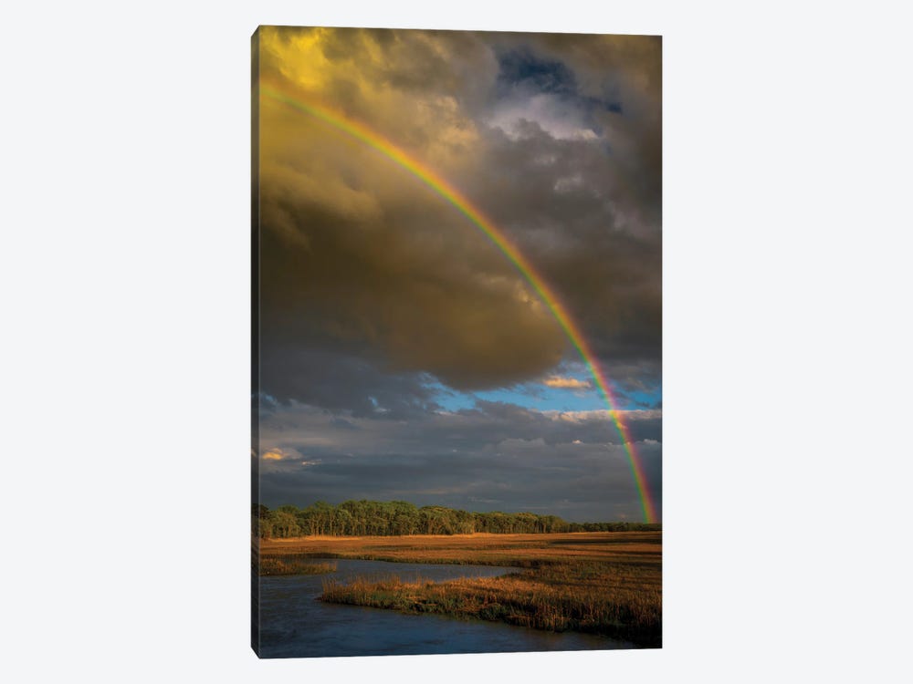 USA, New Jersey, Pinelands National Reserve. Rainbow Over Marsh. by Jaynes Gallery 1-piece Canvas Artwork