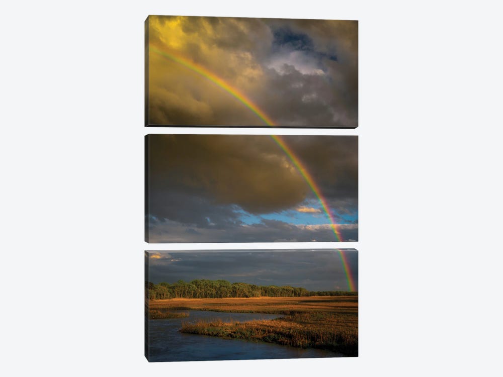 USA, New Jersey, Pinelands National Reserve. Rainbow Over Marsh. by Jaynes Gallery 3-piece Canvas Wall Art