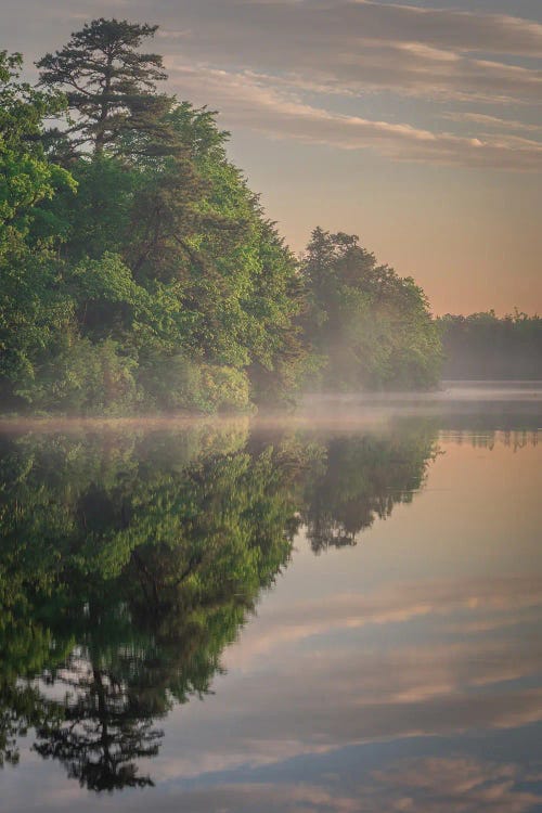 USA, New Jersey, Pinelands National Reserve. Sunrise Reflections In Lake.