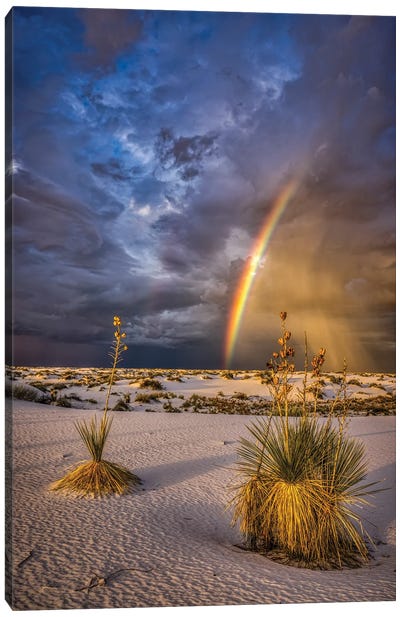 USA, New Mexico, White Sands National Park. Thunderstorm Rainbow Over Desert. Canvas Art Print - Jaynes Gallery