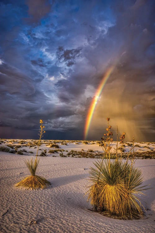 USA, New Mexico, White Sands National Park. Thunderstorm Rainbow Over Desert.