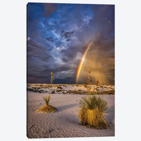 USA, New Mexico, White Sands National Park. Thunderstorm Rainbow Over Desert. Canvas Print #JYG1092} by Jaynes Gallery Canvas Artwork