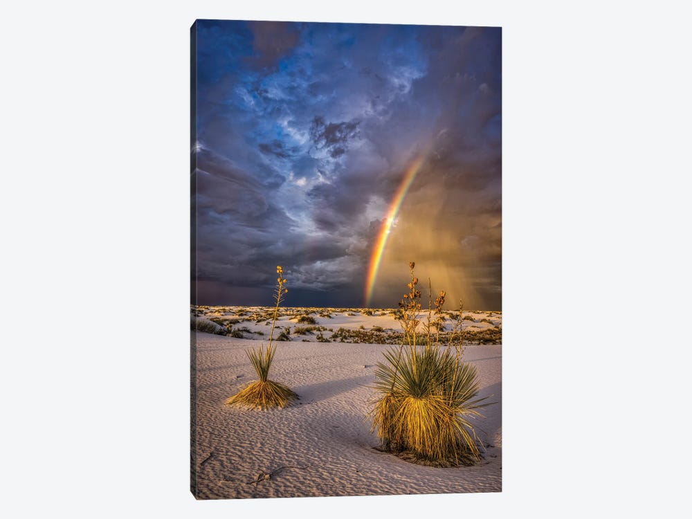 USA, New Mexico, White Sands National Park. Thunderstorm Rainbow Over Desert. by Jaynes Gallery 1-piece Canvas Art