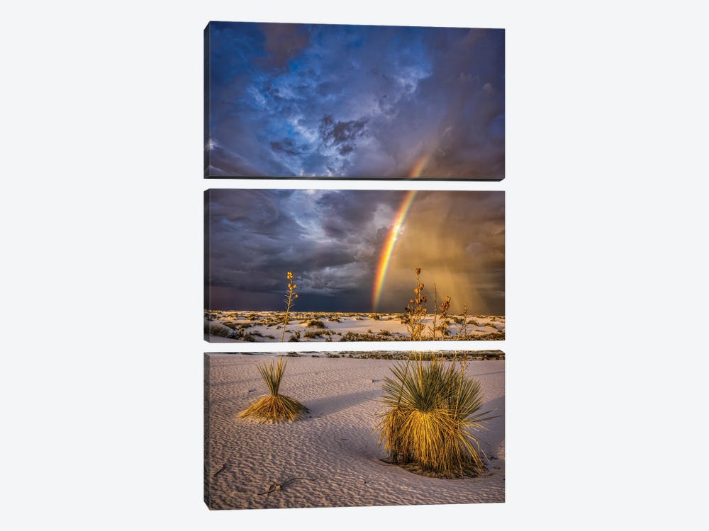 USA, New Mexico, White Sands National Park. Thunderstorm Rainbow Over Desert. by Jaynes Gallery 3-piece Canvas Art