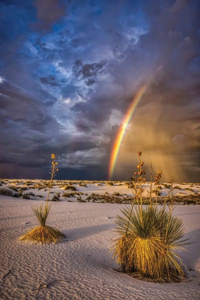 USA, New Mexico, White Sands National Park. Thunderstorm Rainbow Over Desert.