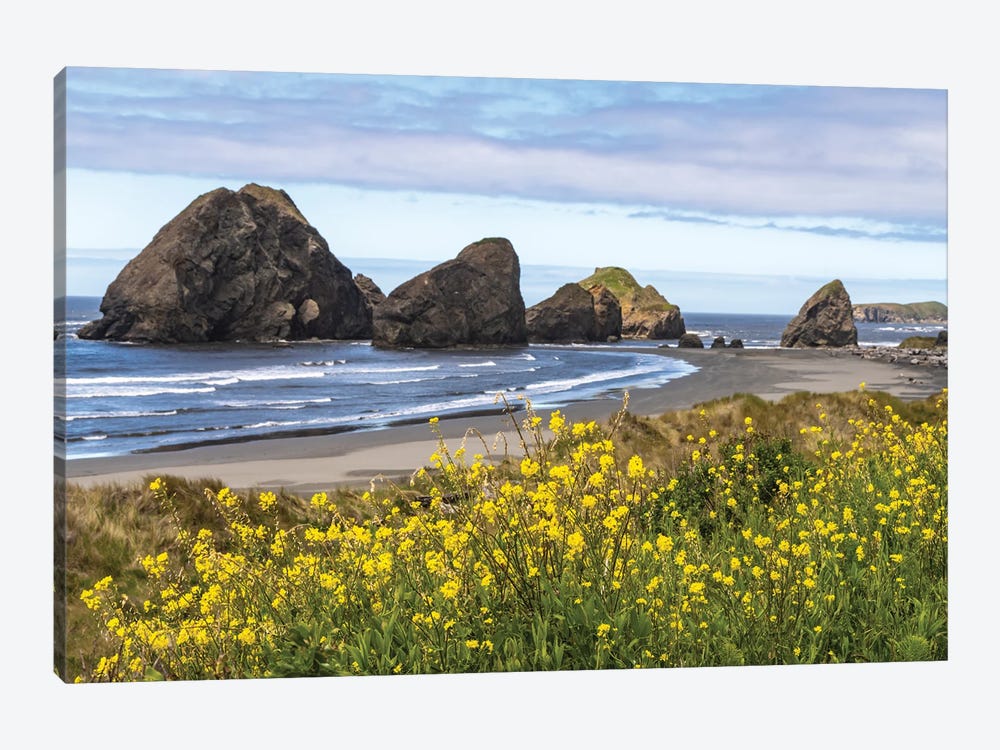 USA, Oregon. Pistol River Beach And Sea Stacks. by Jaynes Gallery 1-piece Canvas Art