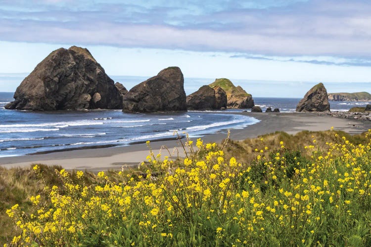 USA, Oregon. Pistol River Beach And Sea Stacks.