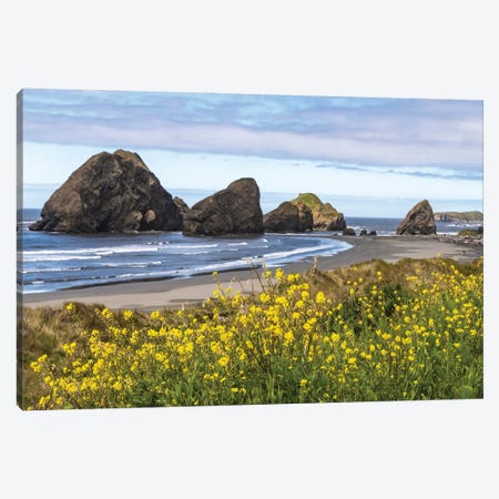 USA, Oregon. Pistol River Beach And Sea Stacks. Canvas Print #JYG1094} by Jaynes Gallery Canvas Art Print