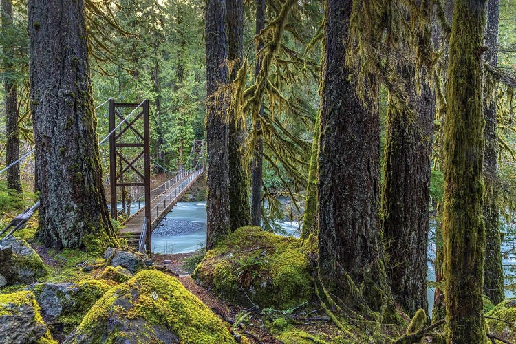 USA, Washington State, Olympic National Park. Bridge Across North Fork Skokomish River.