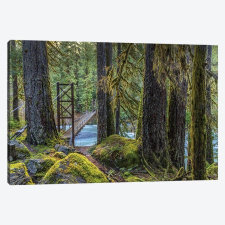 USA, Washington State, Olympic National Park. Bridge Across North Fork Skokomish River. Canvas Print #JYG1097} by Jaynes Gallery Canvas Print