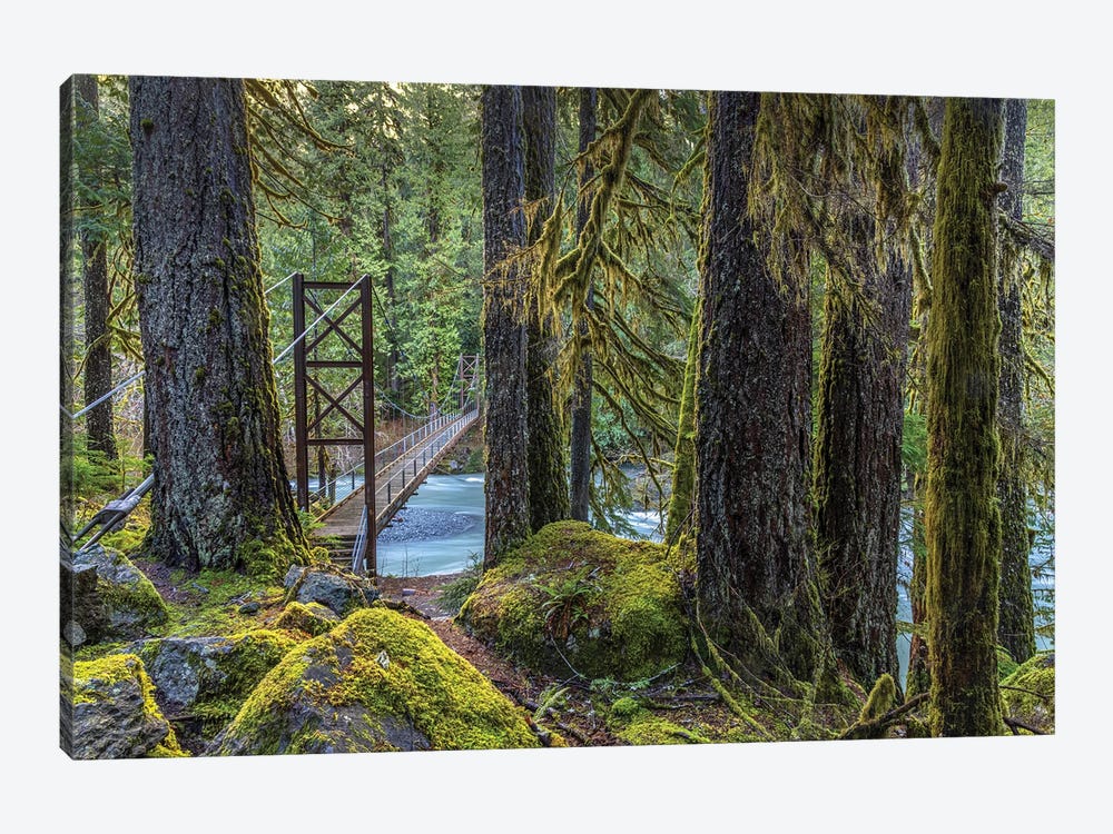 USA, Washington State, Olympic National Park. Bridge Across North Fork Skokomish River. by Jaynes Gallery 1-piece Art Print