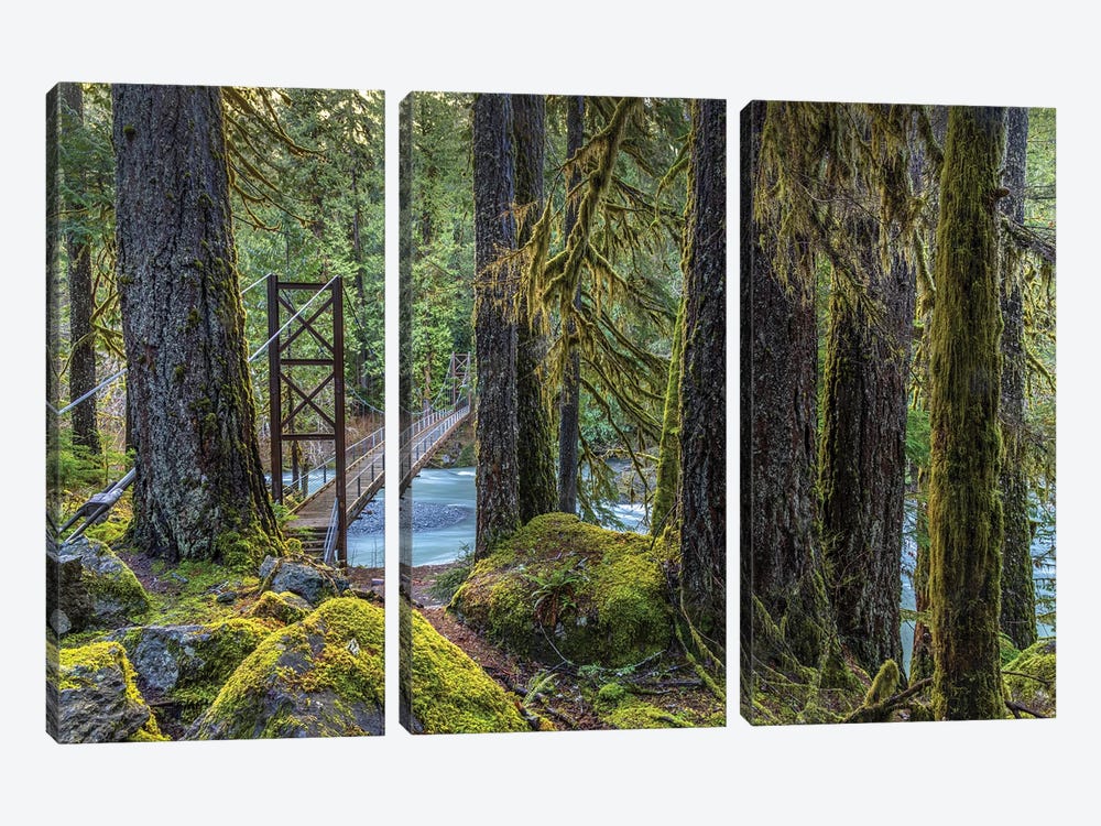 USA, Washington State, Olympic National Park. Bridge Across North Fork Skokomish River. by Jaynes Gallery 3-piece Canvas Print