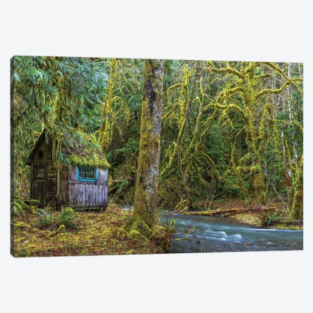 USA, Washington State, Olympic National Park. Weathered Cabin Beside Elk Creek. Canvas Print #JYG1098} by Jaynes Gallery Canvas Wall Art