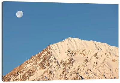 USA, California, Sierra Nevada Mountains. Moonset behind Mt. Tom. Canvas Art Print - Sierra Nevada Art