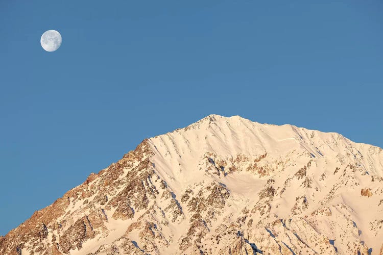 USA, California, Sierra Nevada Mountains. Moonset behind Mt. Tom.