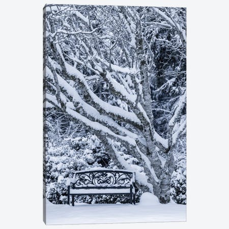 USA, Washington State, Seabeck. Snow-Covered Trees And Bench In Winter. Canvas Print #JYG1102} by Jaynes Gallery Canvas Art