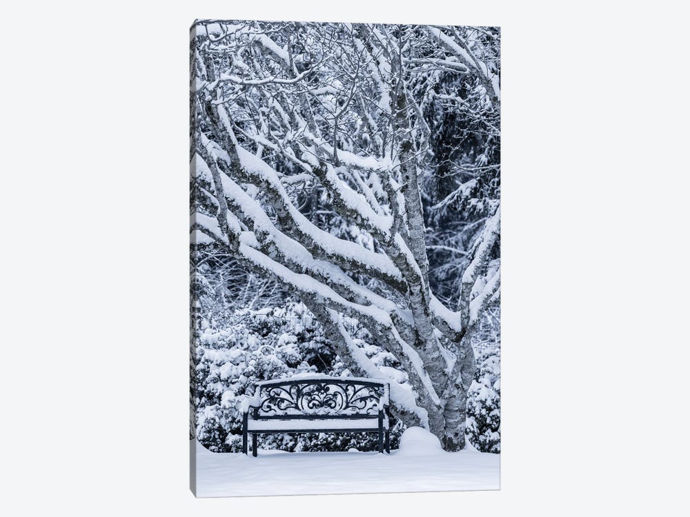 USA, Washington State, Seabeck. Snow-Covered Trees And Bench In Winter. by Jaynes Gallery 1-piece Canvas Artwork