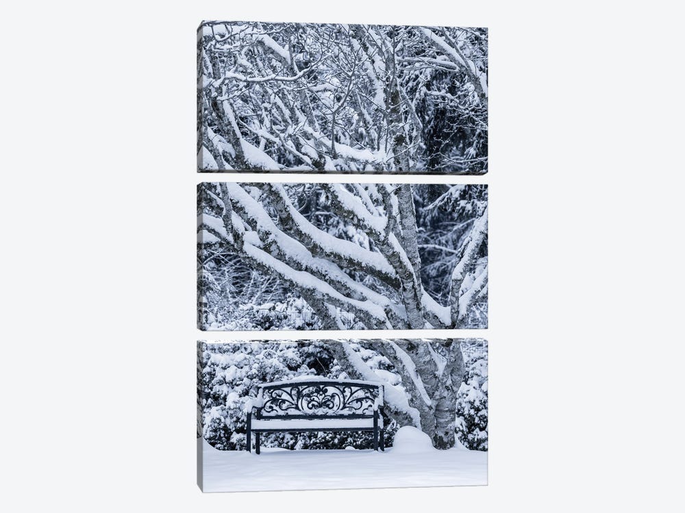 USA, Washington State, Seabeck. Snow-Covered Trees And Bench In Winter. by Jaynes Gallery 3-piece Canvas Artwork
