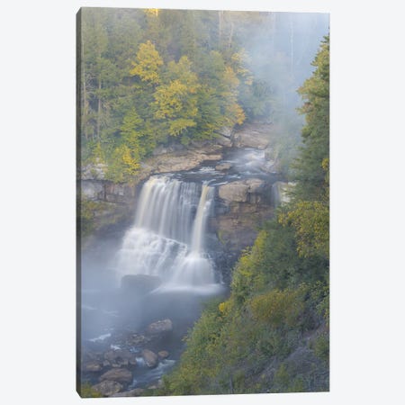 USA, West Virginia, Davis. Overview Of Waterfall In Blackwater State Park. Canvas Print #JYG1103} by Jaynes Gallery Canvas Artwork