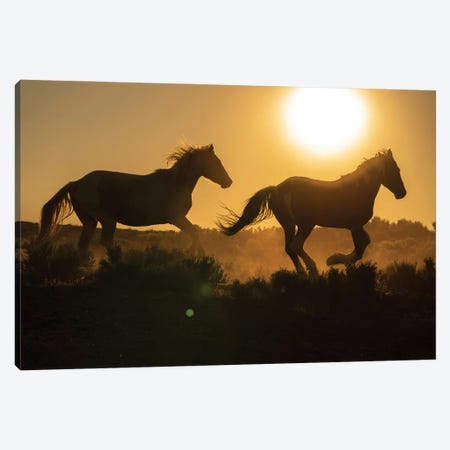 USA, Wyoming. Running Wild Horses Silhouetted At Sunset. Canvas Print #JYG1108} by Jaynes Gallery Canvas Artwork