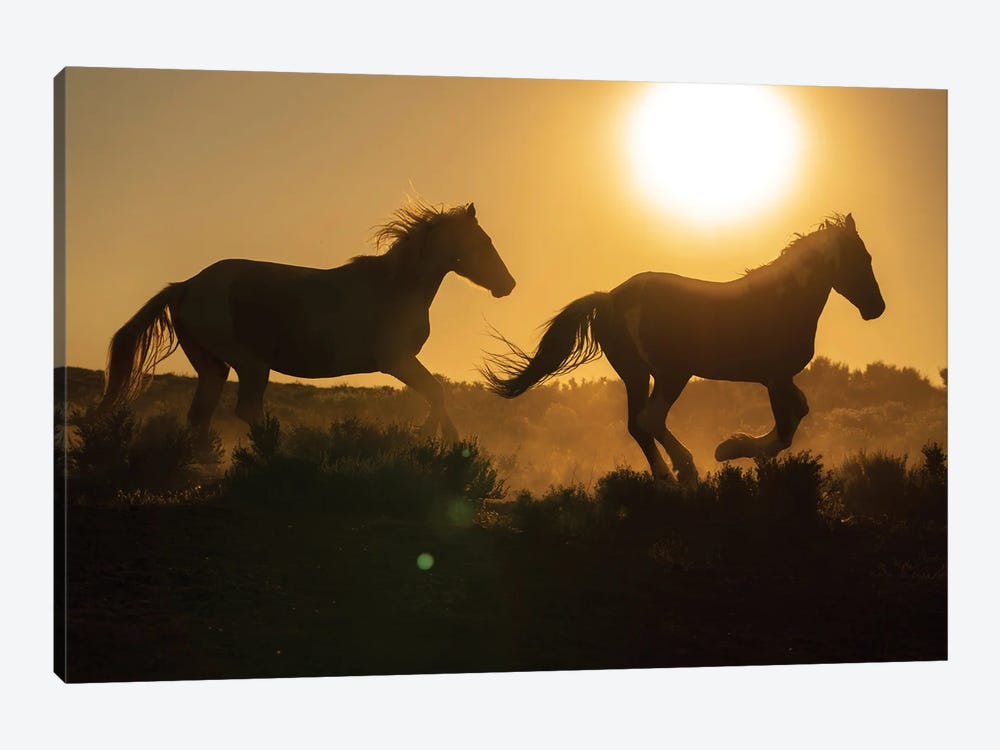 USA, Wyoming. Running Wild Horses Silhouetted At Sunset. by Jaynes Gallery 1-piece Canvas Art