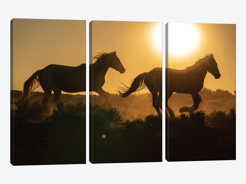 USA, Wyoming. Running Wild Horses Silhouetted At Sunset. by Jaynes Gallery 3-piece Canvas Artwork