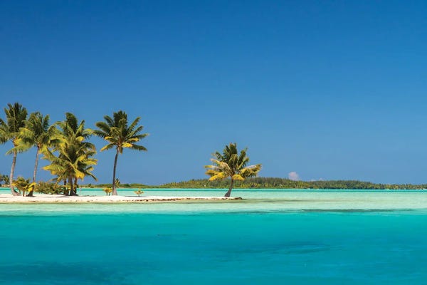 French Polynesia: French Polynesia, Bora Bora Motu Tane Private Island In Lagoon by Jaynes Gallery