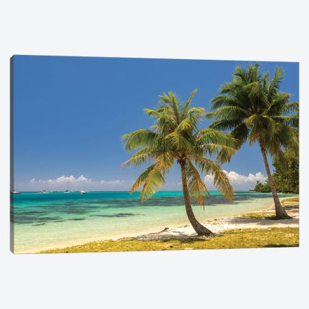 French Polynesia, Moorea Landscape With Moored Boats And Shore Canvas Print #JYG1118} by Jaynes Gallery Canvas Print