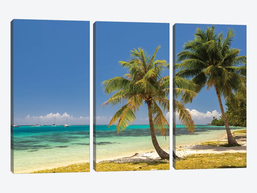 French Polynesia, Moorea Landscape With Moored Boats And Shore by Jaynes Gallery 3-piece Canvas Art Print