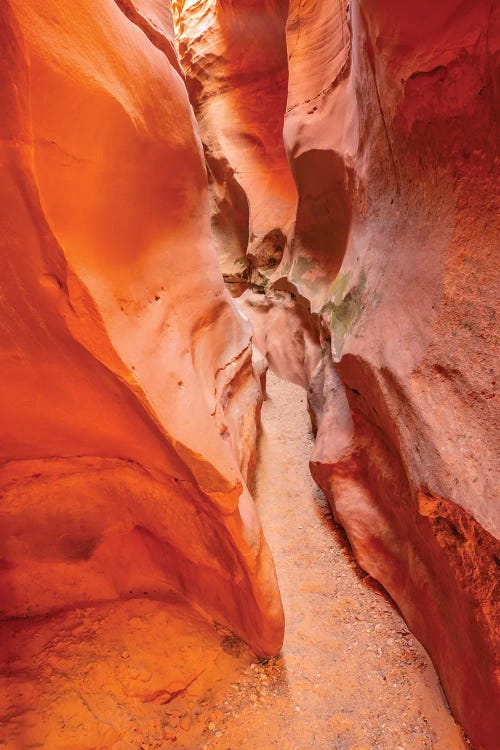 USA, Utah, Grand Staircase Escalante National Monument Bighorn Canyon Trail