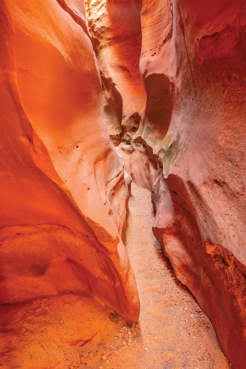 USA, Utah, Grand Staircase Escalante National Monument Bighorn Canyon Trail