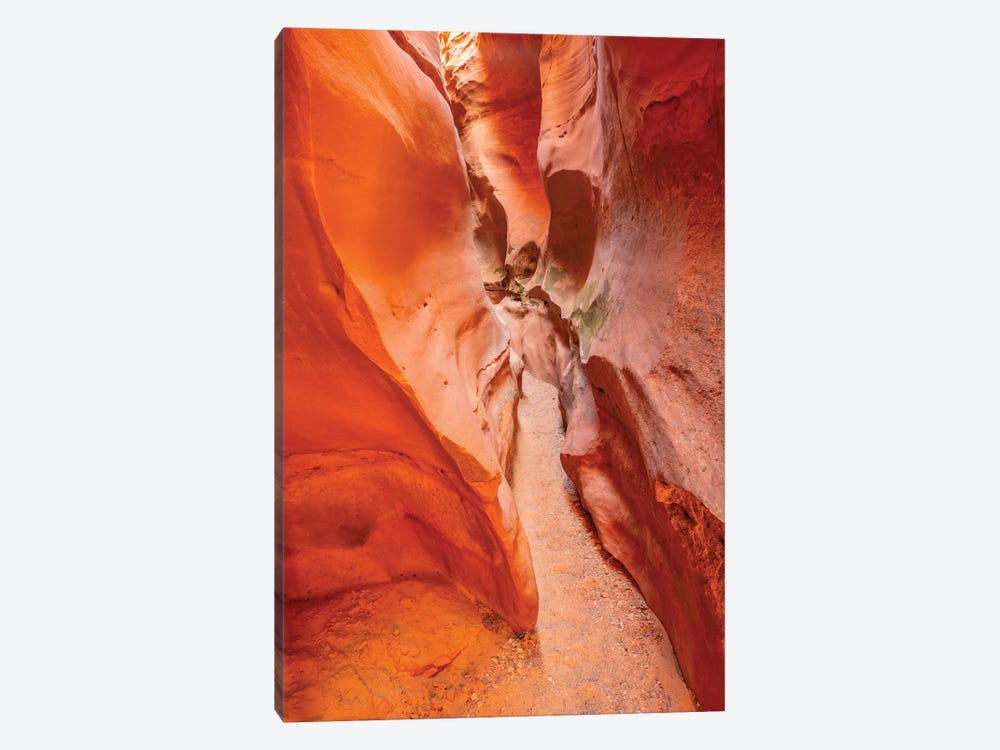 USA, Utah, Grand Staircase Escalante National Monument Bighorn Canyon Trail by Jaynes Gallery 1-piece Canvas Art