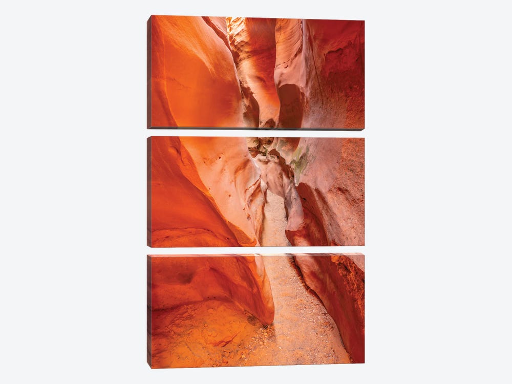 USA, Utah, Grand Staircase Escalante National Monument Bighorn Canyon Trail by Jaynes Gallery 3-piece Canvas Artwork