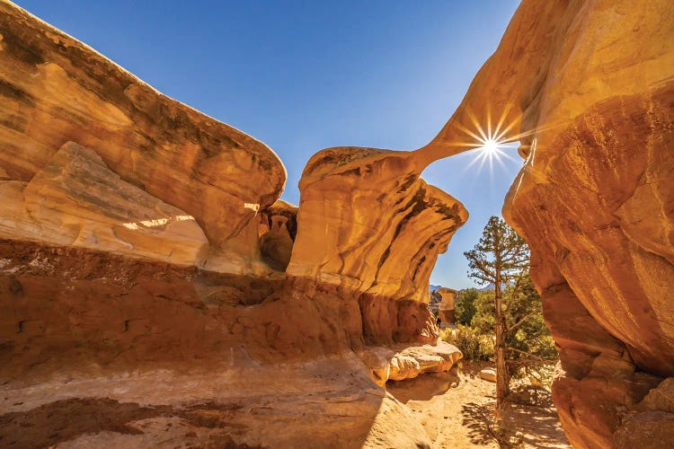 USA, Utah, Grand Staircase Escalante National Monument Sunburst On Eroded Rock Formations In Devil's Garden