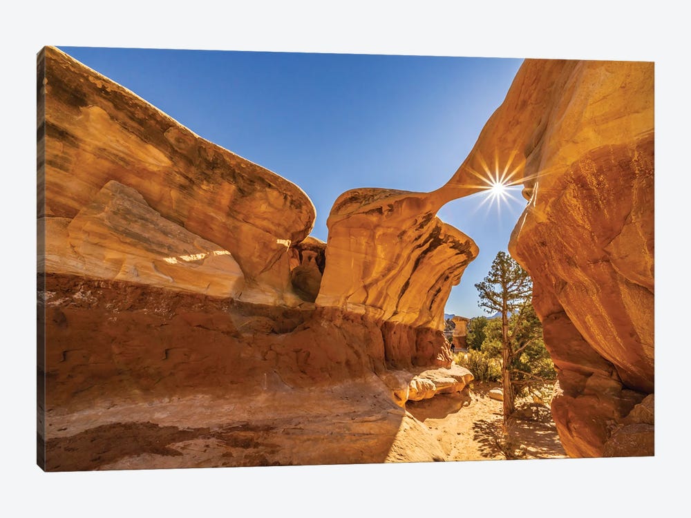 USA, Utah, Grand Staircase Escalante National Monument Sunburst On Eroded Rock Formations In Devil's Garden by Jaynes Gallery 1-piece Canvas Art Print