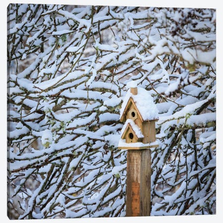 USA, Washington State, Seabeck Snow-Covered Bird House And Tree Limbs Canvas Print #JYG1131} by Jaynes Gallery Canvas Art Print