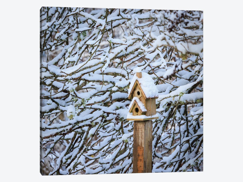USA, Washington State, Seabeck Snow-Covered Bird House And Tree Limbs by Jaynes Gallery 1-piece Canvas Wall Art