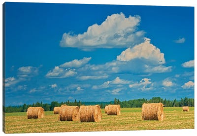 Canada, Ontario, New Liskeard. Hay Bales In Farm Field Canvas Art Print - Field, Grassland & Meadow Art
