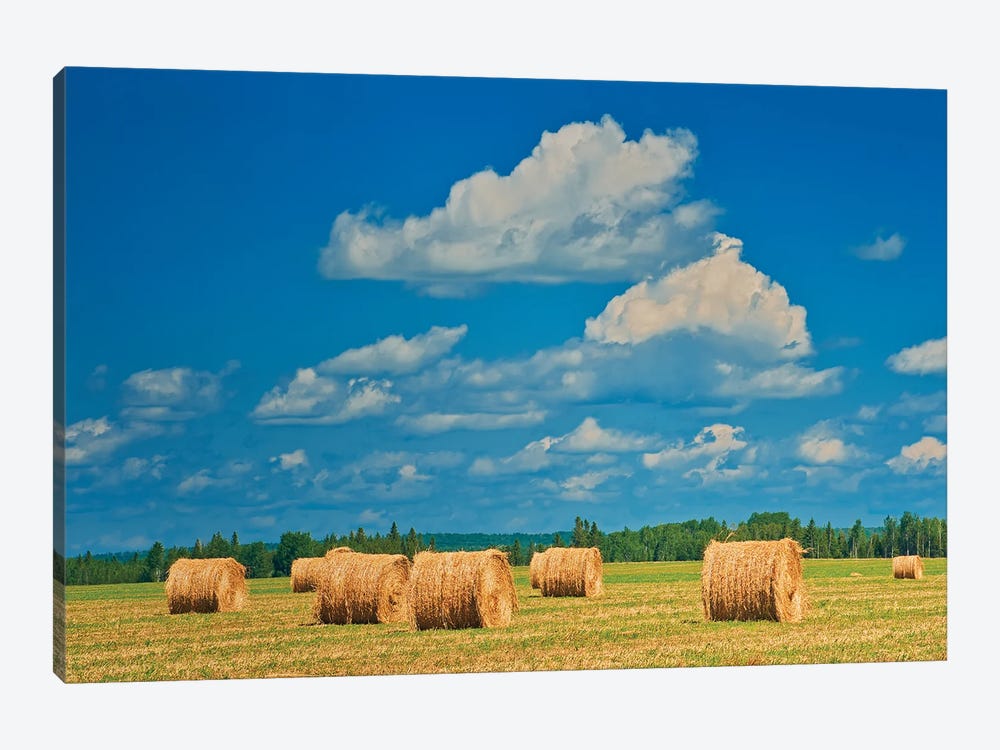 Canada, Ontario, New Liskeard. Hay Bales In Farm Field by Jaynes Gallery 1-piece Canvas Wall Art