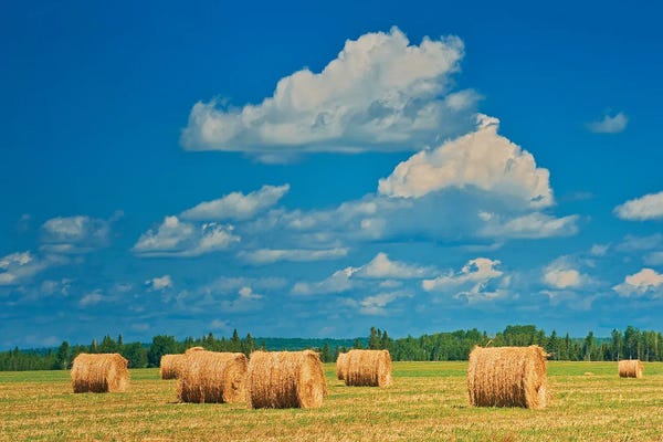 Canada, Ontario, New Liskeard. Hay Bales In Farm Field
