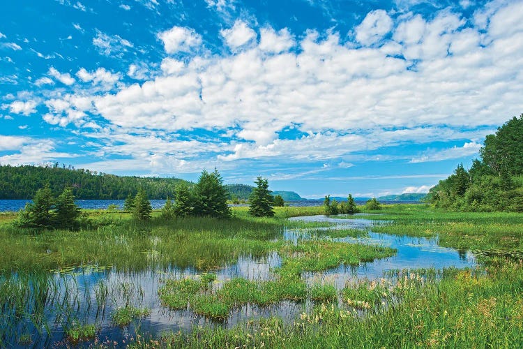 Canada, Ontario. Clouds And Wetland At Lake Nipigon