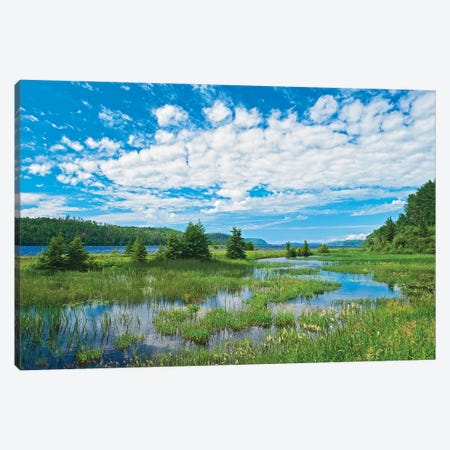 Canada, Ontario. Clouds And Wetland At Lake Nipigon Canvas Print #JYG1136} by Jaynes Gallery Canvas Art